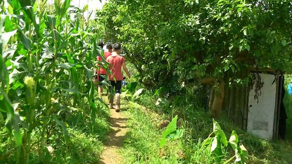 平等食農小學堂_水田裡的動物樂園