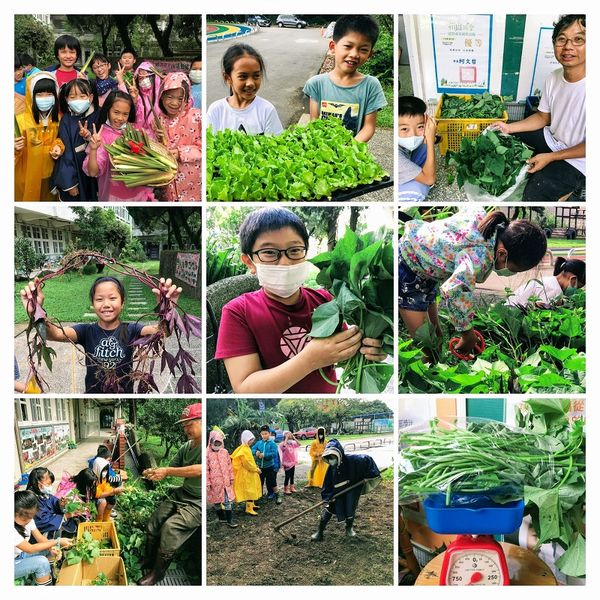 平等食農小學堂__愛地球，從吃開始~110年度臺北市平等國小食農小田園教學實錄！